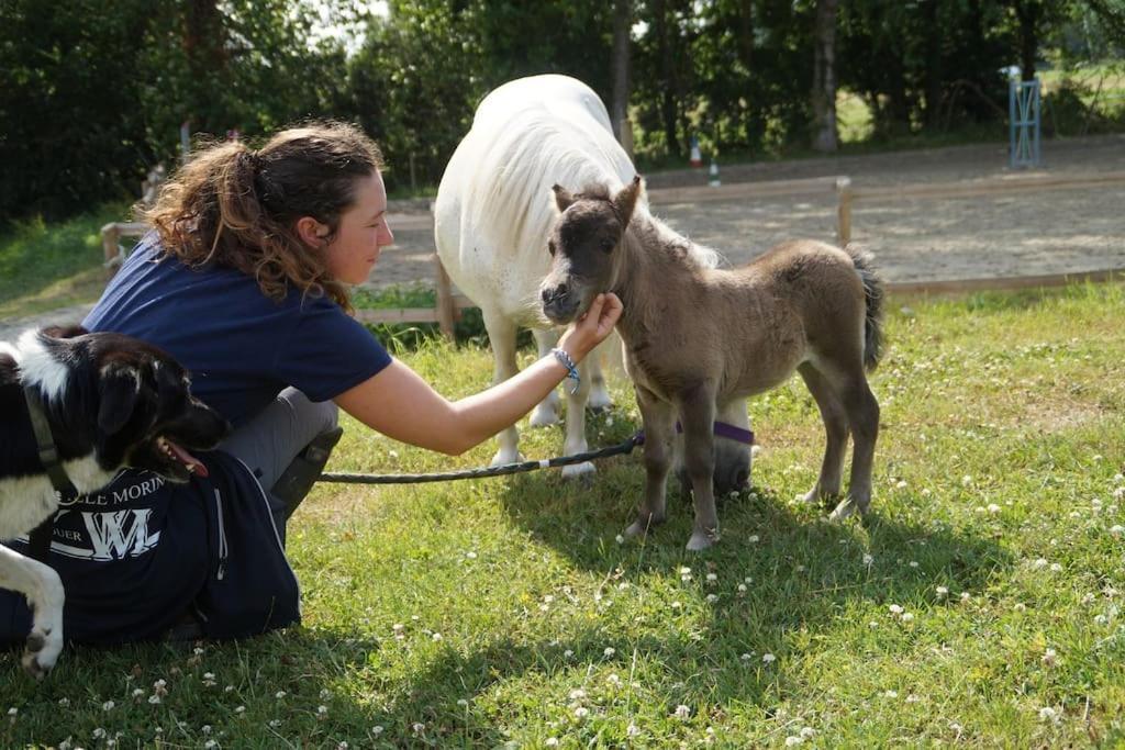 Gite Equestre Dans Centre Equestre Vers Saint Malo Plerguer Bagian luar foto